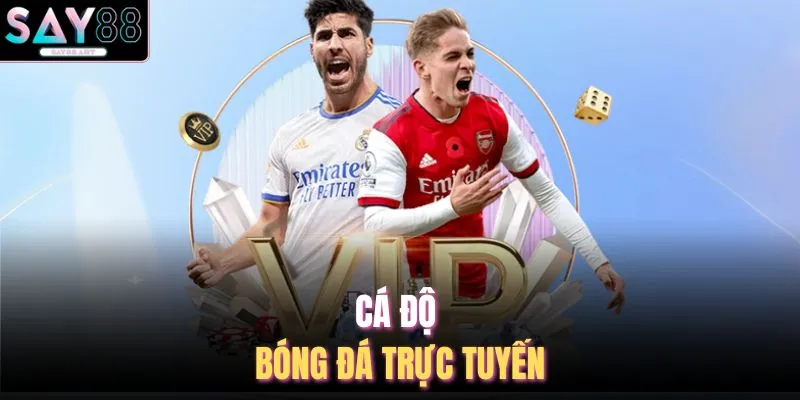 Cá độ bóng đá trực tuyến