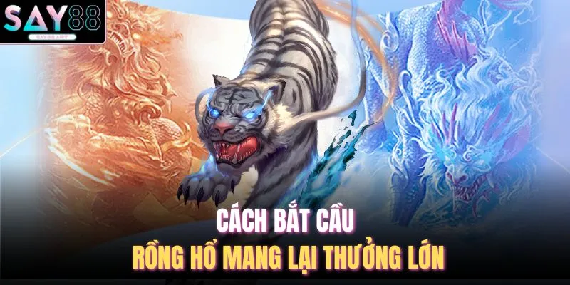 Cách bắt cầu rồng hổ mang lại thưởng lớn