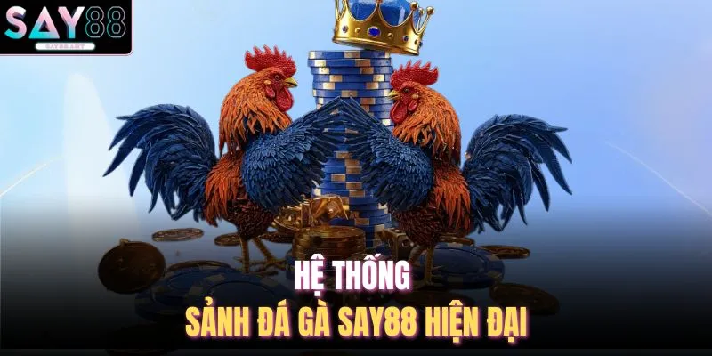 Hệ thống sảnh đá gà SAY88 hiện đại