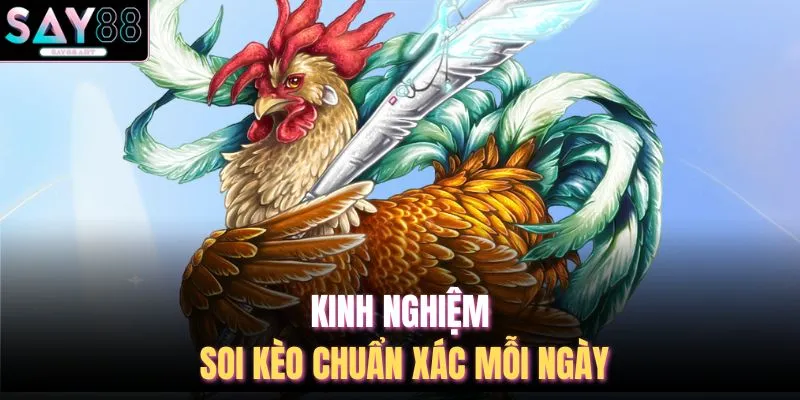 Kinh nghiệm soi kèo chuẩn xác mỗi ngày